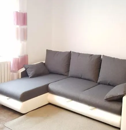 Schones 2-zimmer-appartment In Zentrum *
